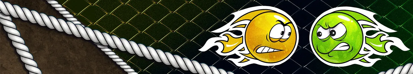 Међународна ММА лига